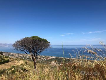 Vendita terreno agricolo cefalù (PA)