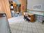 Immagine 17