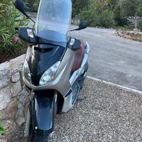X-Max 250