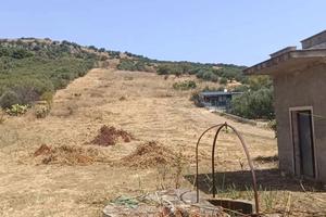 Terreno Agricolo Bagheria [Cod. rif Ter/72VRG]