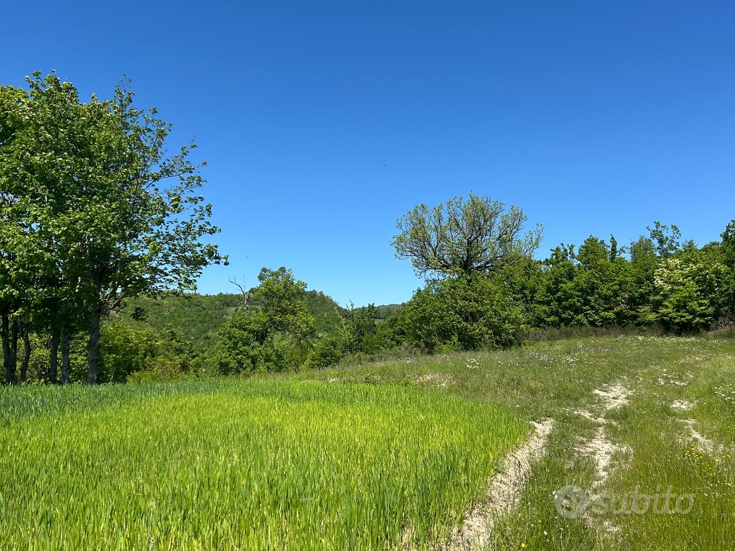 Terreno edificabile a Magrignano (PR) - Vista 2