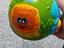 Immagine 1