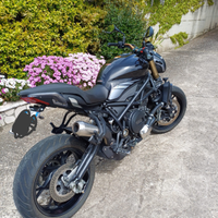 Benelli 752s 2021