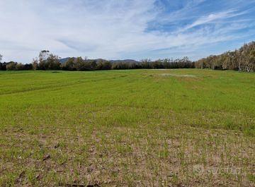 Terreno agricolo recintato
