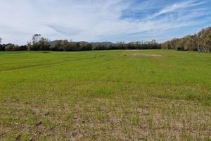 Terreno agricolo recintato