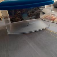 Vaschetta piccola per pesci con termoriscaldatore