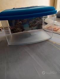 Vaschetta piccola per pesci con termoriscaldatore