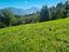 Immagine 13