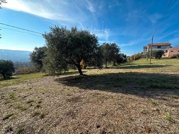 Lotto edificabile per la TUA casa indipendente