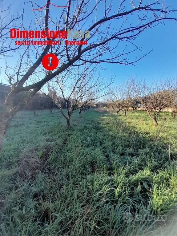 Terreno di 4840 m² a Nola - Vista 5