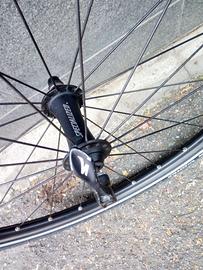 Ruote MTB 26" Specialized Mavic