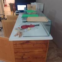 Top tavolo con alzatina in vetro