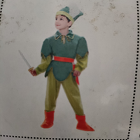 Vestito carnevale Peter pan