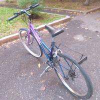 Bicicletta Donna 