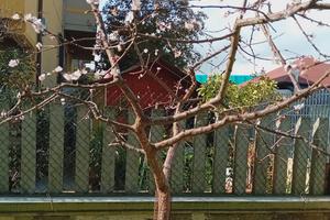 Ampio appartamento con giardino privato 