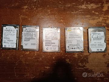 Hard Disk SATA da 160 Gb