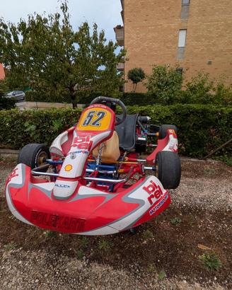 EASYKART 125 BIREL R31