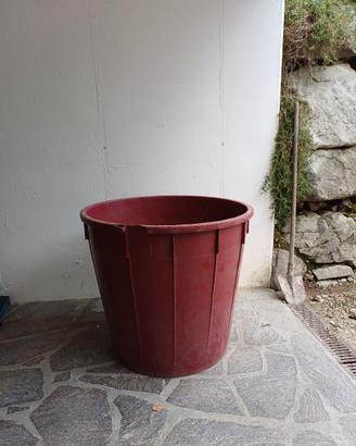 tino per uva