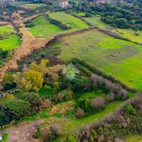 TER. AGRICOLO A ROMA