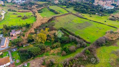 TER. AGRICOLO A ROMA