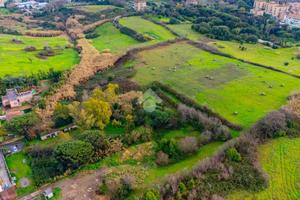 TER. AGRICOLO A ROMA