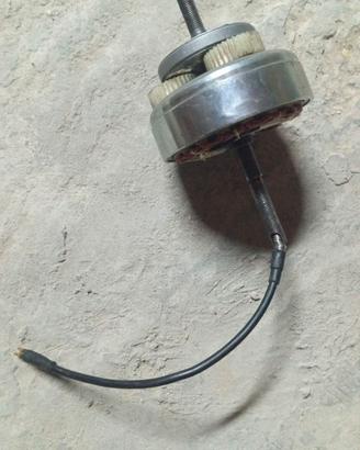 motore per bici elettrica 250w 36v a 3 pin