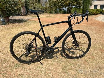 Focus paralane carbon 58