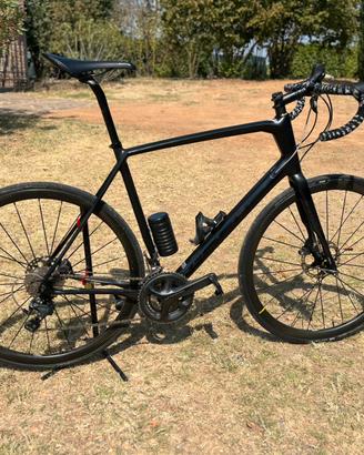 Focus paralane carbon 58