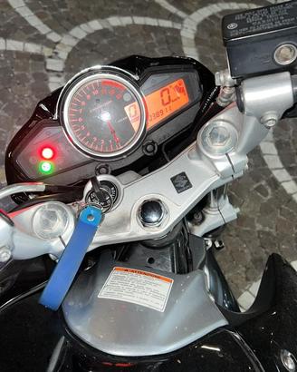 Suzuki inazuma