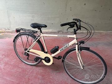 Bici da uomo