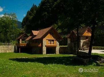 Immobili con locale commerciale