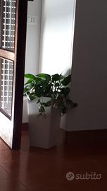 Vaso resina bianco da interno o esterno