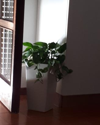 Vaso resina bianco da interno o esterno