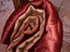 Immagine 1