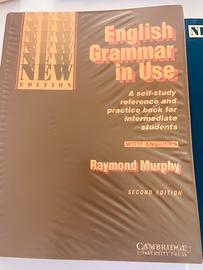 Grammatica ed esercizi inglese