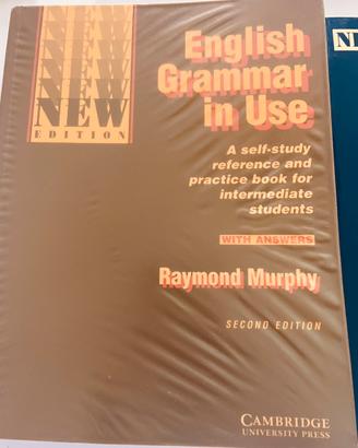 Grammatica ed esercizi inglese