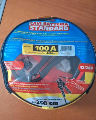 cavi batteria