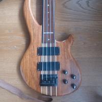 basso fretless Jim reed