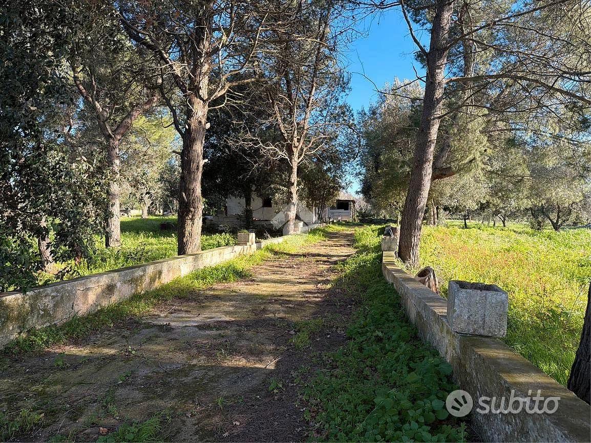 rustico 33mq - Vista 4