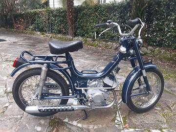 oscar mister college