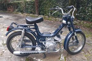 oscar mister college