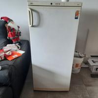 Congelatore Wega White