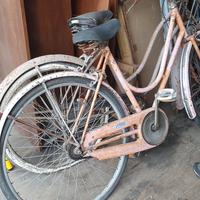 coppia di biciclette 