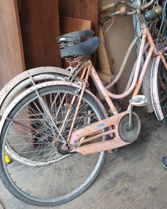coppia di biciclette 