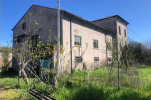 Sogno rurale di grande potenziale a Ceregnano