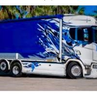 Autista Patente C + CQC + Idonieta professionale