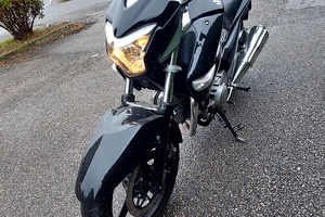Suzuki inazuma 250