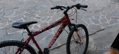 bicicletta 