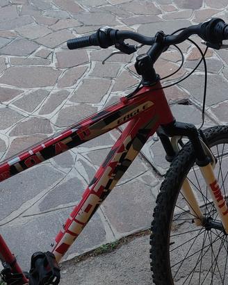 bicicletta 