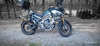 TIGER RALLY EXPLORER 